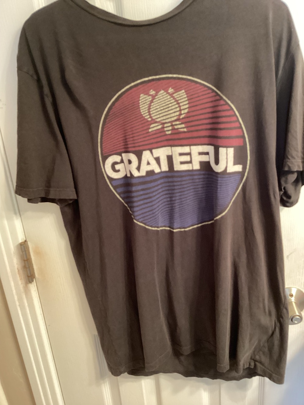 Grateful ,T-shirt, Size Large
Color Black